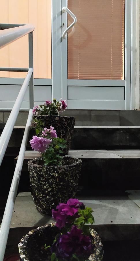 Apartman Todorovic Jagodina Ngoại thất bức ảnh